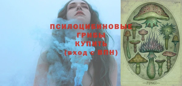 спиды Алексеевка