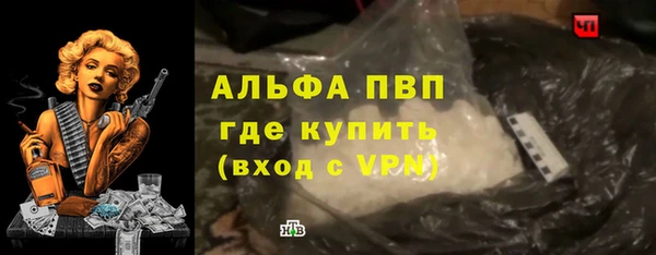 apvp Алзамай