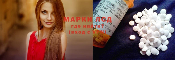 apvp Алзамай