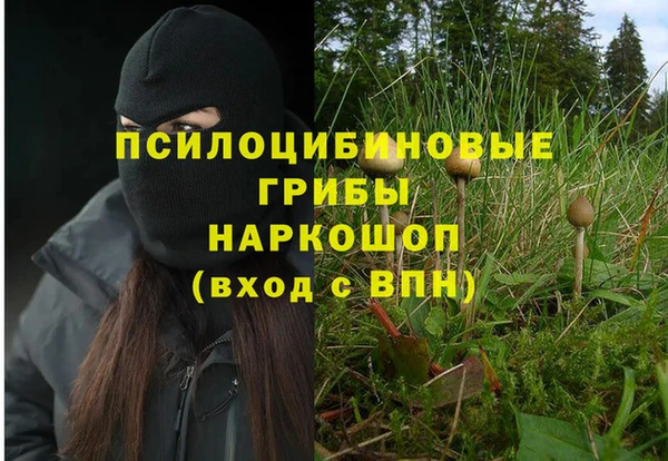 спиды Алексеевка