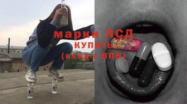 apvp Алзамай