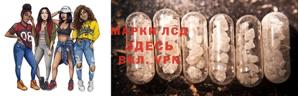 apvp Алзамай